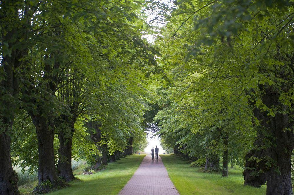Schlossgut Groß Schwansee Exteriör bild The avenue of lime trees