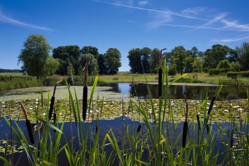 Schlossgut Groß Schwansee Exteriör bild The lake at the centre of the reserve